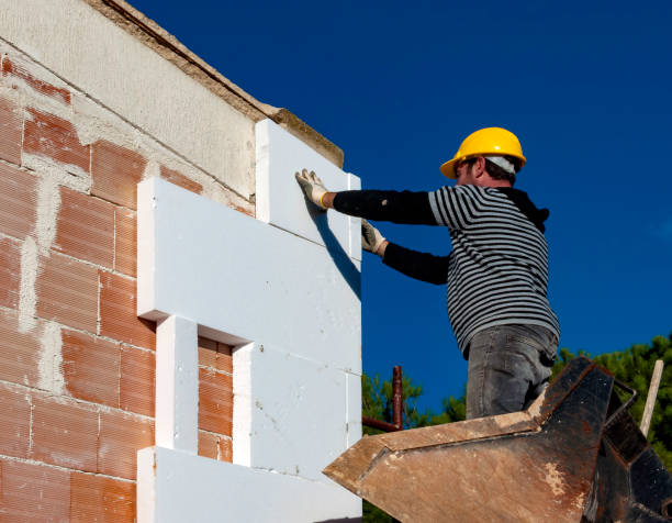 Best Cellulose Insulation in Circle D Kc Estates, TX
