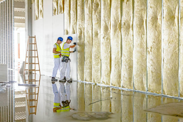 Best Insulation Maintenance and Repair in Circle D Kc Estates, TX